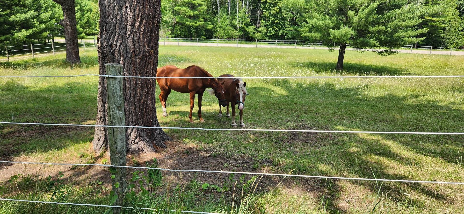 Exterior Painting — Cliff’s Bar, Sterling, MI