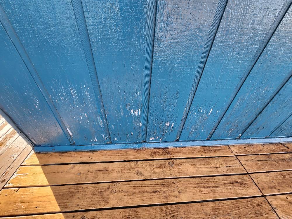 Exterior House & Deck Painting — Forest Lake, MI
