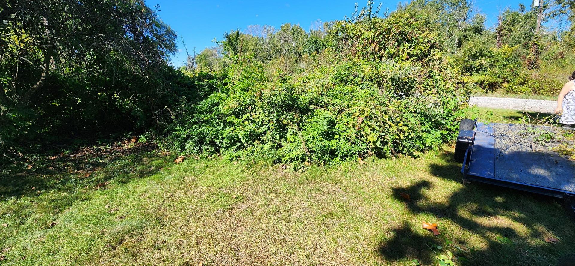 Fall Yard Work — Midland, MI