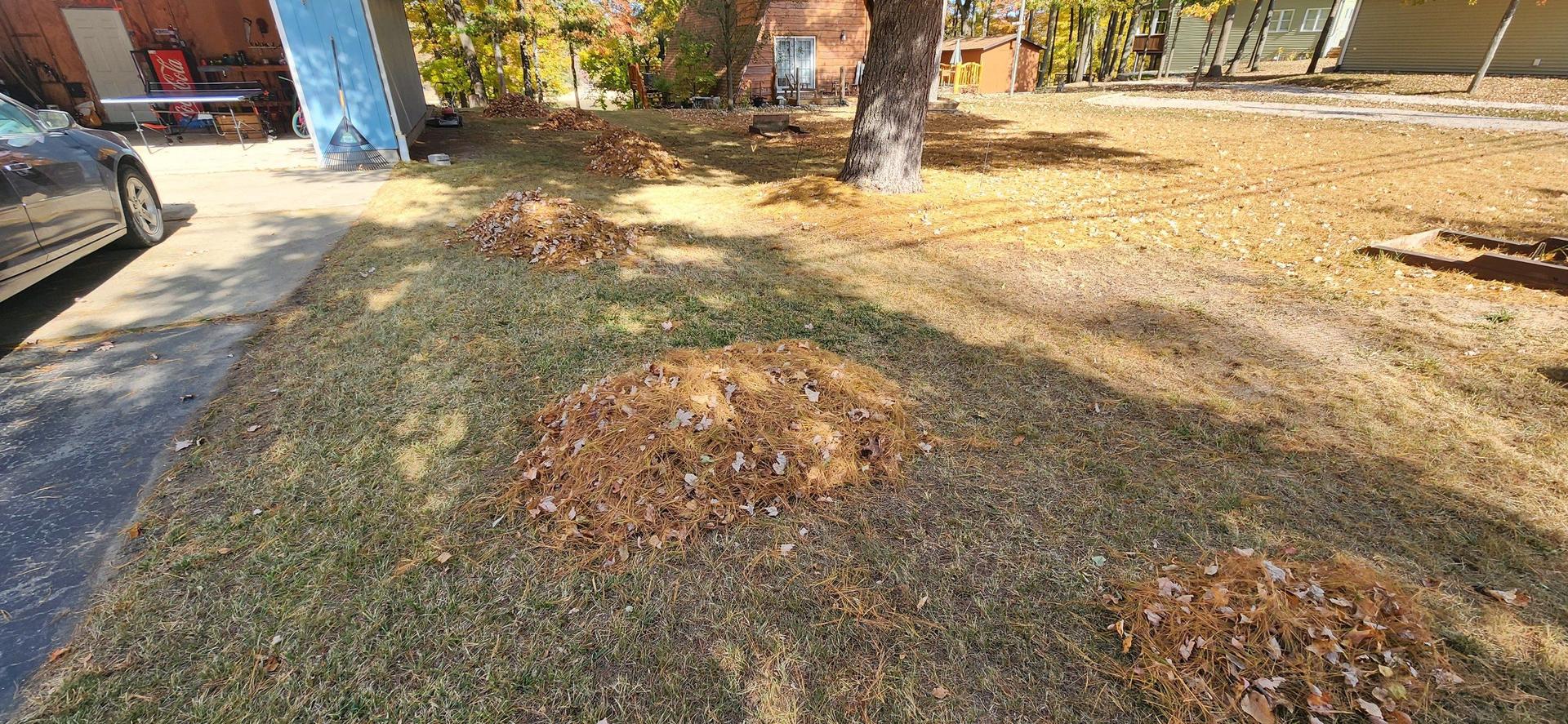 Fall Yard Work — Midland, MI