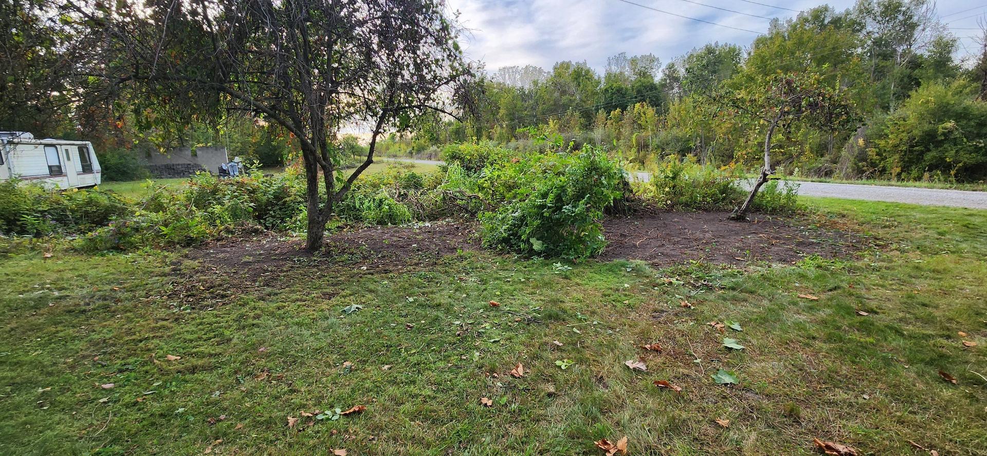 Fall Yard Work — Midland, MI