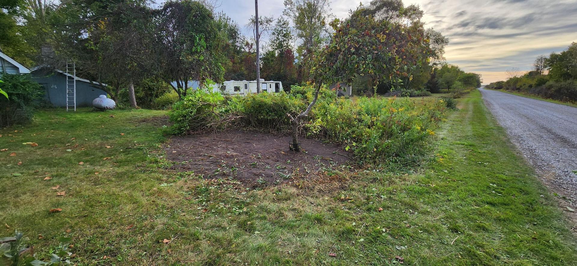 Fall Yard Work — Midland, MI