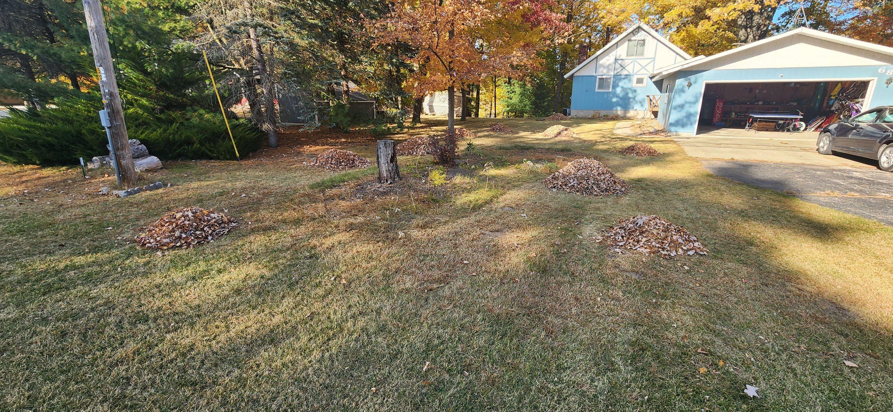 Leaf-free yard after fall cleanup in Midland, MI
