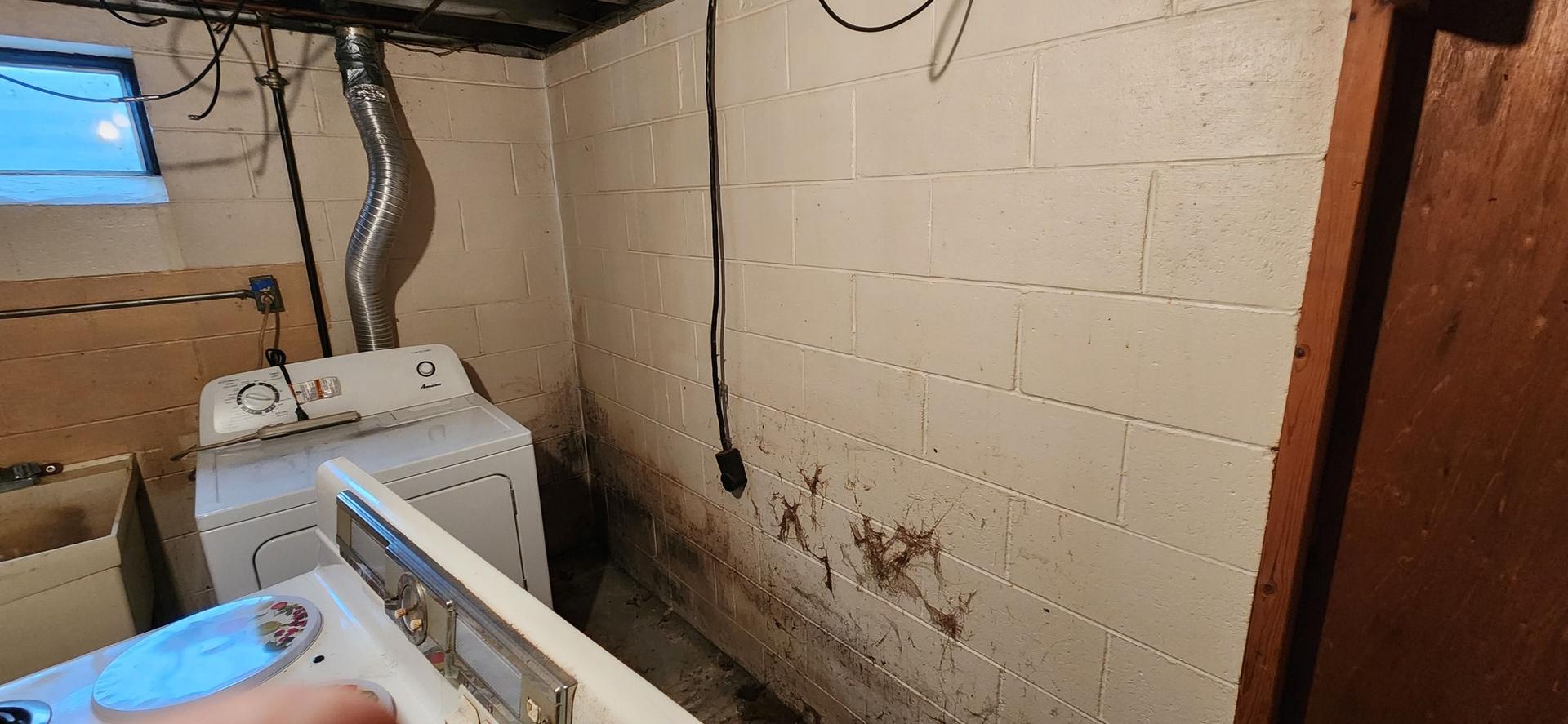 Freshly painted basement room in Essexville, MI