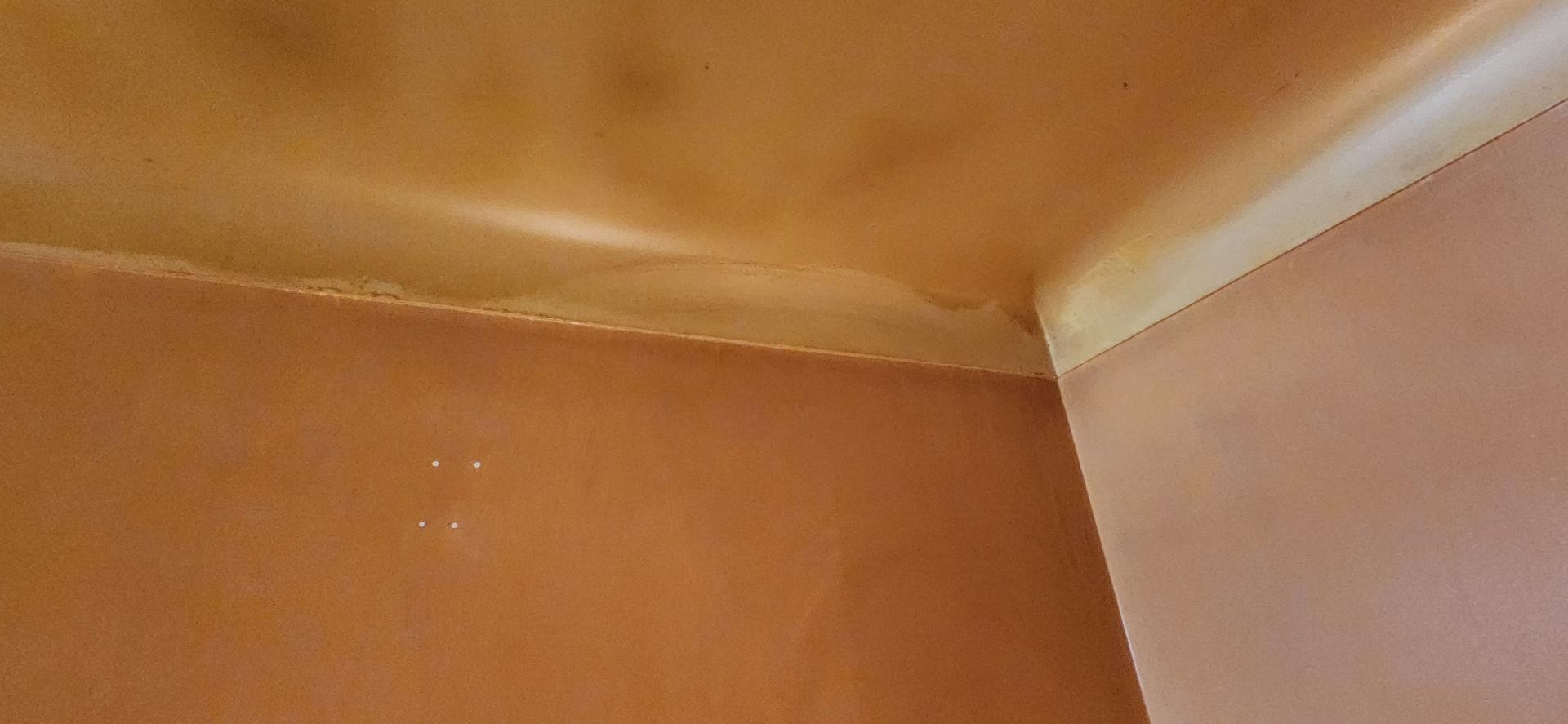 Freshly painted interior walls and trim in an Essexville, MI home