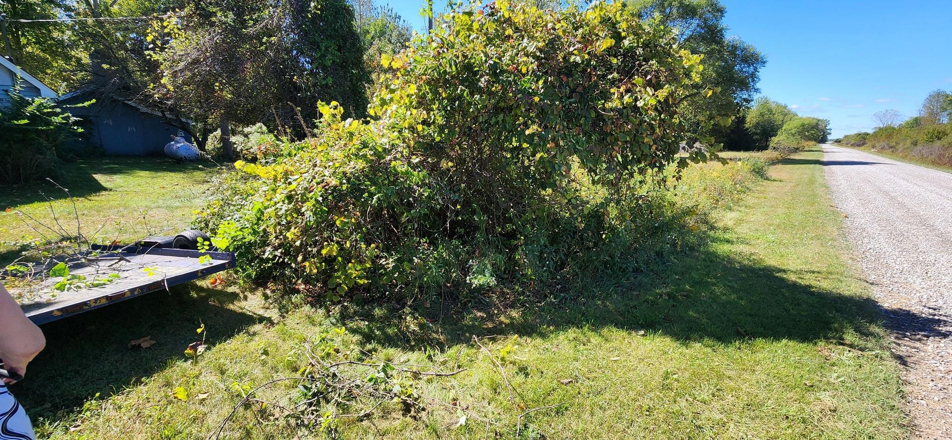 Fall Yard Work — Midland, MI