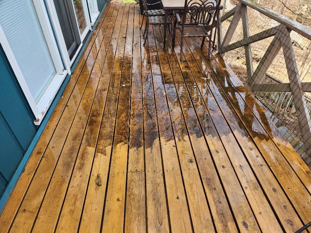 Exterior House & Deck Painting — Forest Lake, MI