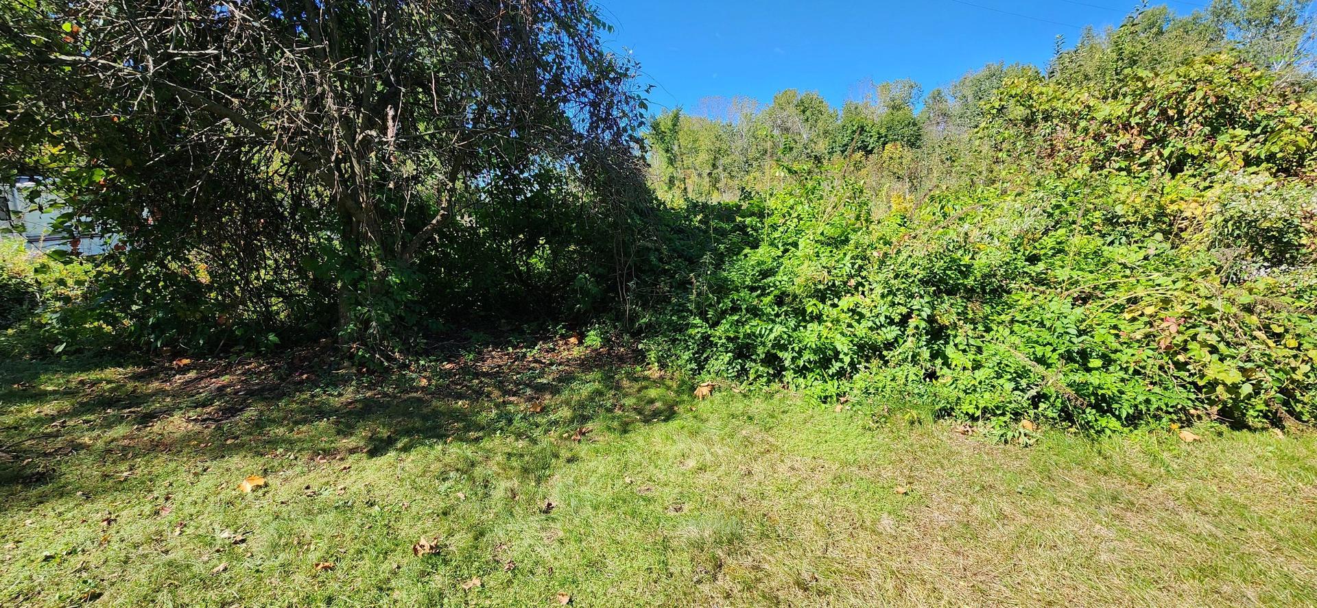 Fall Yard Work — Midland, MI